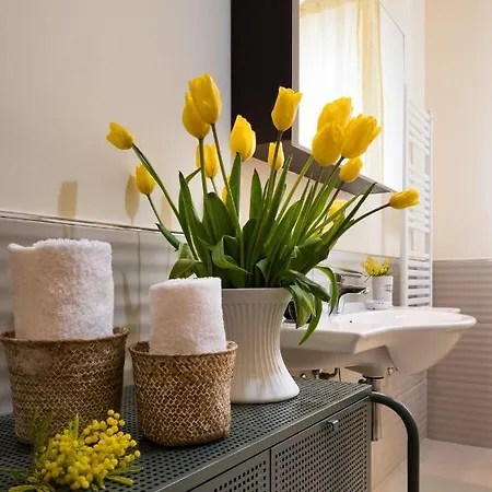 Mimosa Corner *