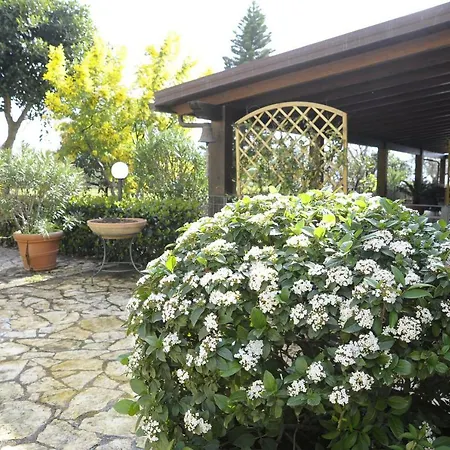 Mimosa Corner *