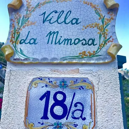 Mimosa Corner *